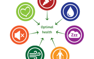 My Seven Steps to Optimal Health