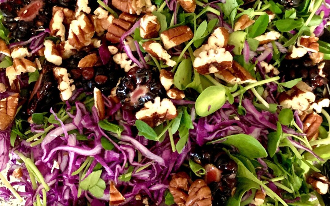 Microgreens Cabbage and Berries