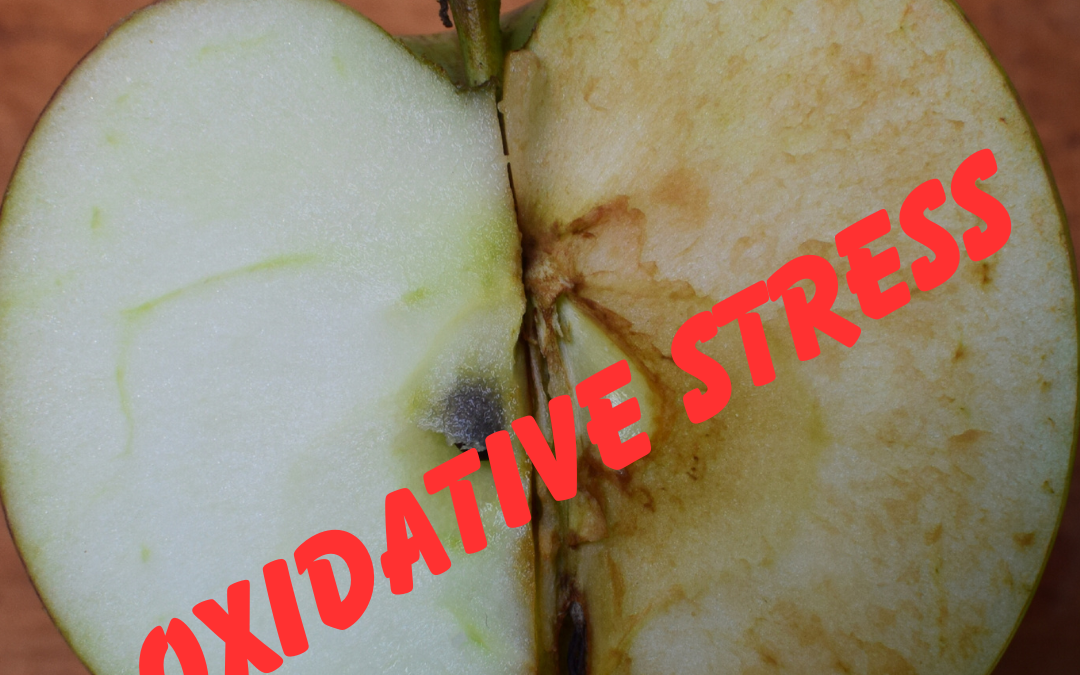 What Is Oxidative Stress