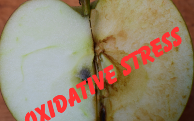 What Is Oxidative Stress