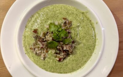 Creamy Cilantro Microgreens Soup